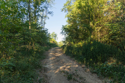 property photo for Big White Oak Tract 97, 7.85 acres for sale in Perry County, Tennessee