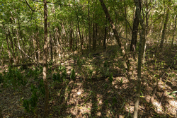 property photo for Big White Oak Tract 97, 7.85 acres for sale in Perry County, Tennessee