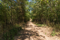 property photo for Big White Oak Tract 97, 7.85 acres for sale in Perry County, Tennessee