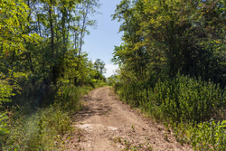 property photo for Big White Oak Tract 97, 7.85 acres for sale in Perry County, Tennessee