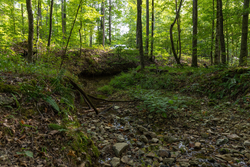 property photo for Big White Oak Tract 97, 7.85 acres for sale in Perry County, Tennessee