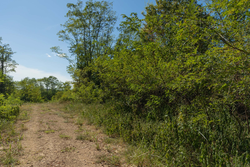 property photo for Big White Oak Tract 97, 7.85 acres for sale in Perry County, Tennessee