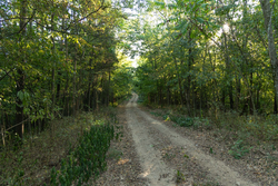 property photo for Big White Oak Tract 97, 7.85 acres for sale in Perry County, Tennessee
