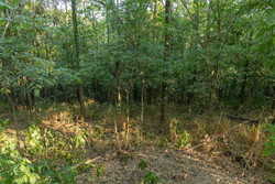 property photo for Big White Oak Tract 98, 8.83 acres for sale in Perry County, Tennessee