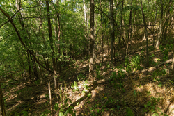 property photo for Big White Oak Tract 98, 8.83 acres for sale in Perry County, Tennessee