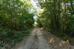 property photo for Big White Oak Tract 98, 8.83 acres for sale in Perry County, Tennessee