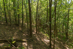 property photo for Big White Oak Tract 98, 8.83 acres for sale in Perry County, Tennessee