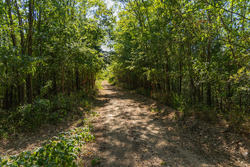 property photo for Big White Oak Tract 98, 8.83 acres for sale in Perry County, Tennessee