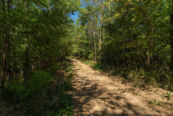 property photo for Big White Oak Tract 98, 8.83 acres for sale in Perry County, Tennessee