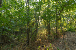 property photo for Big White Oak Tract 98, 8.83 acres for sale in Perry County, Tennessee