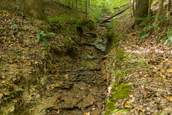 property photo for Big White Oak Tract 98, 8.83 acres for sale in Perry County, Tennessee