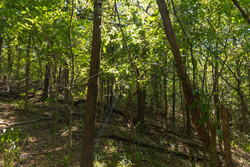 property photo for Big White Oak Tract 98, 8.83 acres for sale in Perry County, Tennessee