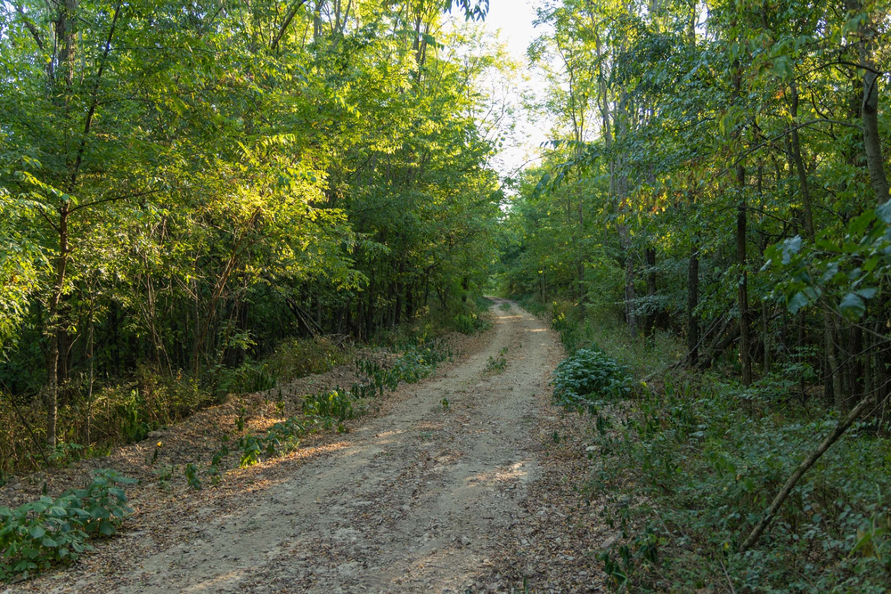 8.83 acre rural land tract for sale at Big White Oak Tract 98 in Perry County, Tennessee