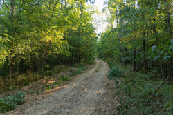 property photo for Big White Oak Tract 98, 8.83 acres for sale in Perry County, Tennessee