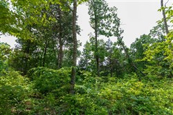 property photo for Cedar Creek Tract 12, 6.52 acres for sale in Perry County, Tennessee