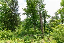 property photo for Cedar Creek Tract 12, 6.52 acres for sale in Perry County, Tennessee