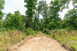 property photo for Cedar Creek Tract 16, 6.11 acres for sale in Perry County, Tennessee