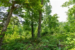 property photo for Cedar Creek Tract 16, 6.11 acres for sale in Perry County, Tennessee