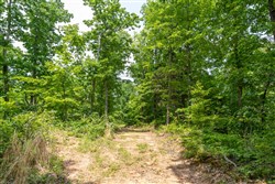 property photo for Cedar Creek Tract 16, 6.11 acres for sale in Perry County, Tennessee