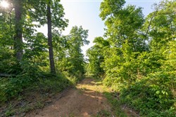 property photo for Cedar Creek Tract 57, 8.76 acres for sale in Perry County, Tennessee