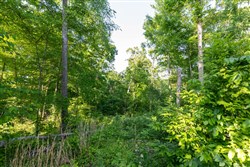 property photo for Cedar Creek Tract 57, 8.76 acres for sale in Perry County, Tennessee