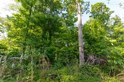 property photo for Cedar Creek Tract 57, 8.76 acres for sale in Perry County, Tennessee