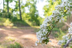 property photo for Cedar Creek Tract 57, 8.76 acres for sale in Perry County, Tennessee