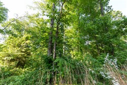 property photo for Cedar Creek Tract 57, 8.76 acres for sale in Perry County, Tennessee