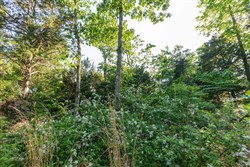 property photo for Cedar Creek Tract 58, 5.12 acres for sale in Perry County, Tennessee