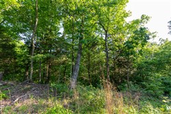 property photo for Cedar Creek Tract 58, 5.12 acres for sale in Perry County, Tennessee