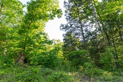 property photo for Cedar Creek Tract 58, 5.12 acres for sale in Perry County, Tennessee