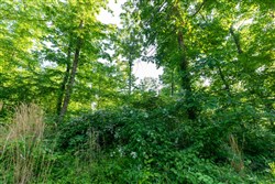 property photo for Cedar Creek Tract 58, 5.12 acres for sale in Perry County, Tennessee