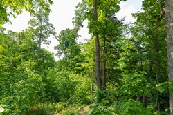 property photo for Cedar Creek Tract 60, 5.83 acres for sale in Perry County, Tennessee