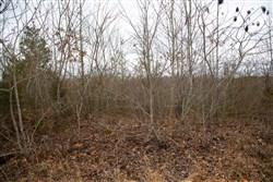 property photo for Southwind Ranch Tract 16, 7.17 acres for sale in Perry County, Tennessee
