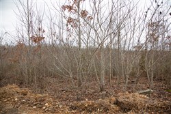 property photo for Southwind Ranch Tract 16, 7.17 acres for sale in Perry County, Tennessee