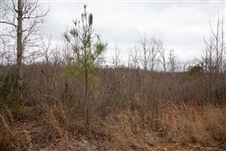 property photo for Southwind Ranch Tract 16, 7.17 acres for sale in Perry County, Tennessee