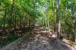 property photo for Redemption Ridge Tract 11, 5.03 acres for sale in Wayne County, Tennessee