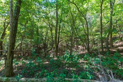 property photo for Redemption Ridge Tract 11, 5.03 acres for sale in Wayne County, Tennessee