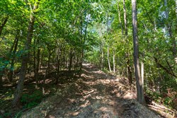 property photo for Redemption Ridge Tract 11, 5.03 acres for sale in Wayne County, Tennessee