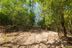 property photo for Redemption Ridge Tract 11, 5.03 acres for sale in Wayne County, Tennessee
