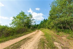 property photo for Redemption Ridge Tract 6, 5.04 acres for sale in Wayne County, Tennessee