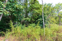 property photo for Redemption Ridge Tract 6, 5.04 acres for sale in Wayne County, Tennessee