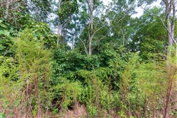 property photo for Redemption Ridge Tract 6, 5.04 acres for sale in Wayne County, Tennessee