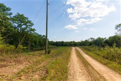property photo for Redemption Ridge Tract 6, 5.04 acres for sale in Wayne County, Tennessee