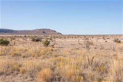 property photo for Sunrise Ranches Phase III Tract 117, 80.08 acres for sale in Hudspeth County, Texas