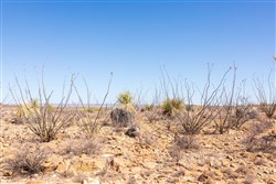property photo for Sunrise Ranches Phase IV Tract 154, 64.19 acres for sale in Hudspeth County, Texas
