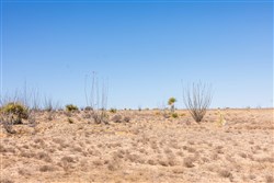 property photo for Sunrise Ranches Phase IV Tract 154, 64.19 acres for sale in Hudspeth County, Texas