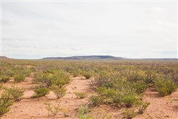 property photo for Sunset Ranches Plat 540 Tract 9, 20 acres for sale in Hudspeth County, Texas