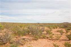 property photo for Sunset Ranches Plat 540 Tract 9, 20 acres for sale in Hudspeth County, Texas