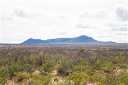 property photo for Sunset Ranches Plat 540 Tract 9, 20 acres for sale in Hudspeth County, Texas